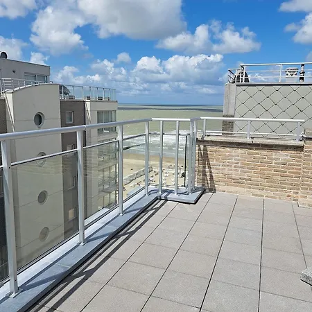 Duplex Met Zonnig Zuidterras Aan Haven En Zee Appartement *